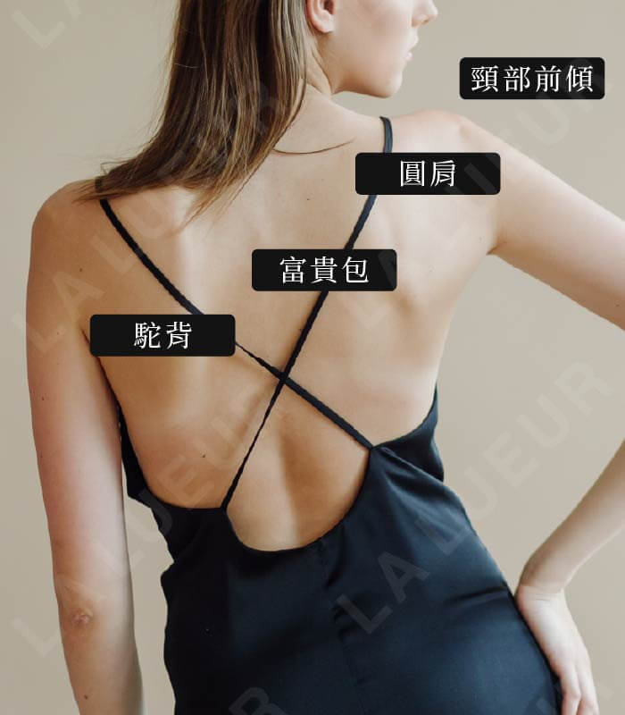 原渥鉅獻-法式美胸天鵝頸